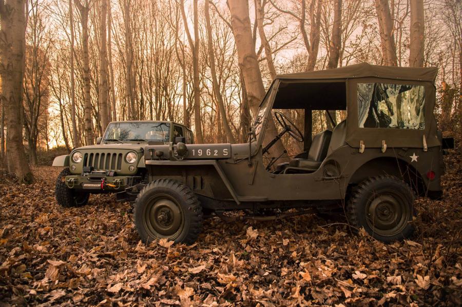  Jeep Wrangler Geiger-Willys (JK) 2017 года  (фото 21 из 21)